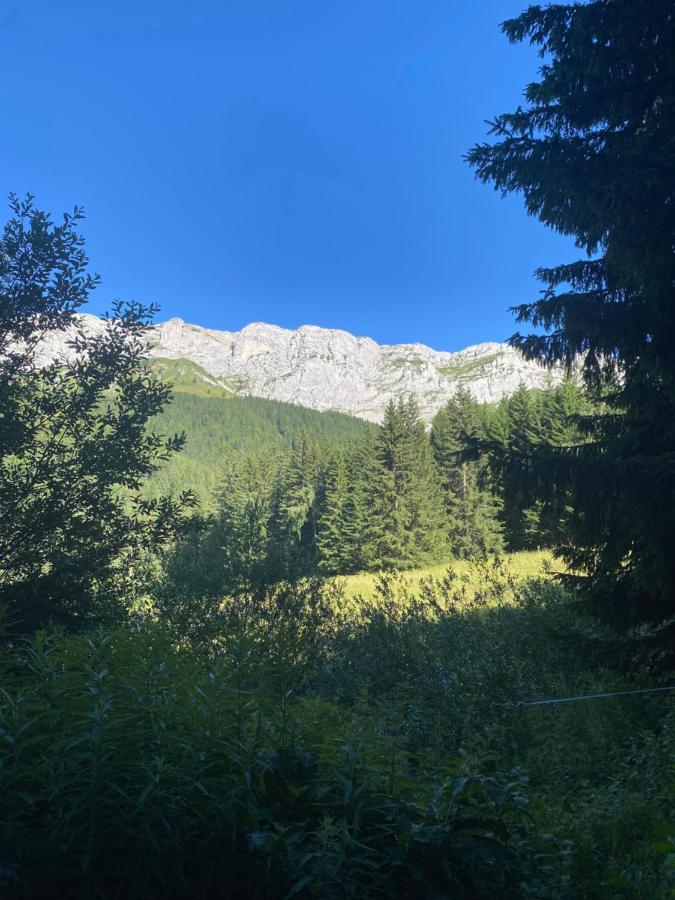 Cretes Du Vercors Vue Magnifique Villard-de-Lans Exteriér fotografie